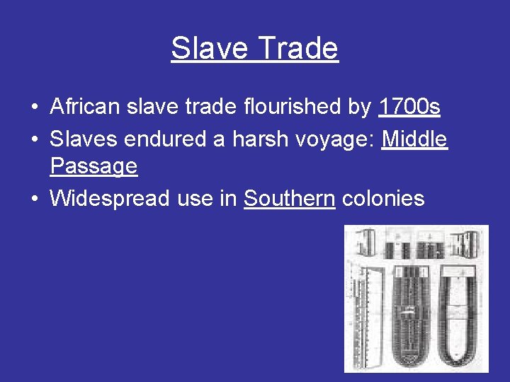 Slave Trade • African slave trade flourished by 1700 s • Slaves endured a