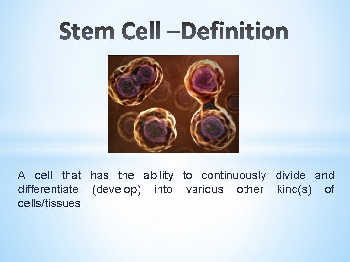 A cell that has the ability to continuously divide and differentiate (develop) into various