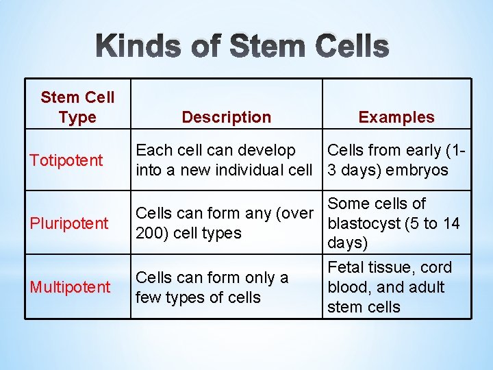 Kinds of Stem Cells Stem Cell Type Totipotent Pluripotent Multipotent Description Examples Each cell