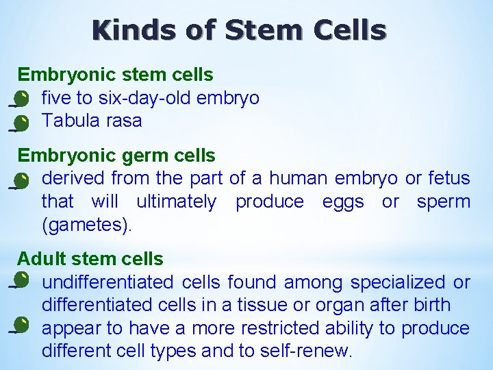 Kinds of Stem Cells Embryonic stem cells • five to six-day-old embryo • Tabula
