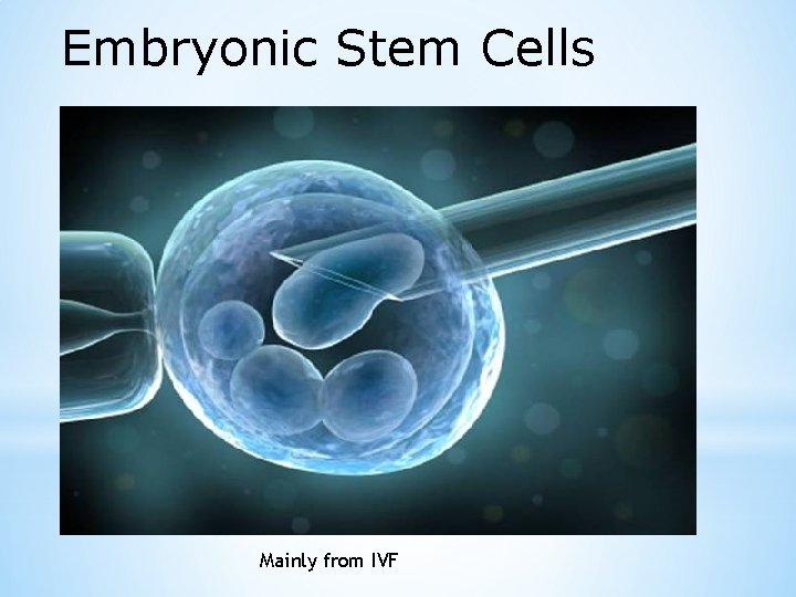 Embryonic Stem Cells Mainly from IVF 