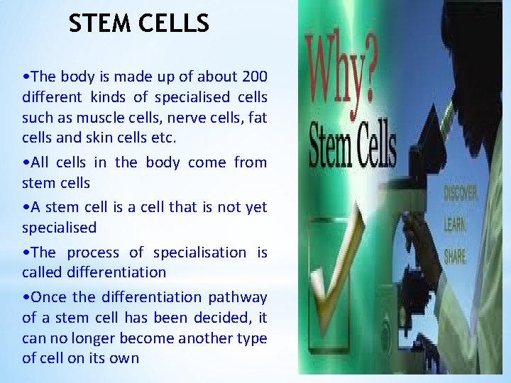 STEM CELLS • The body is made up of about 200 different kinds of