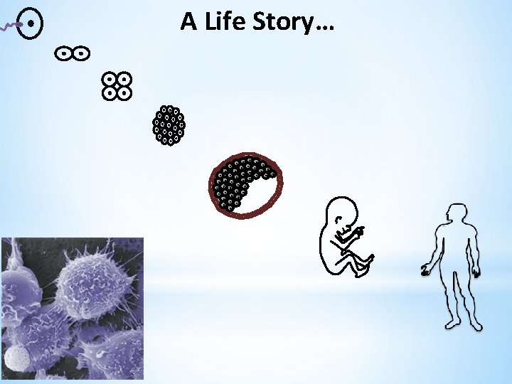 A Life Story… 