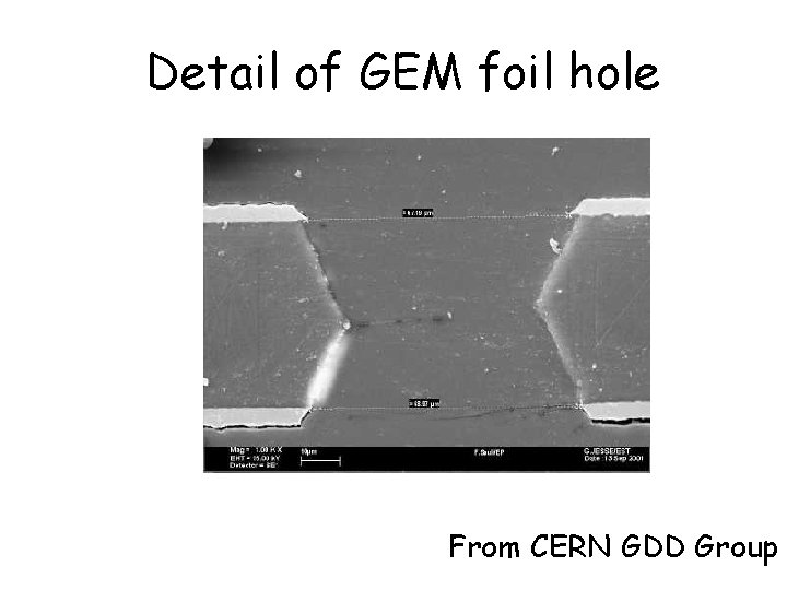 Detail of GEM foil hole From CERN GDD Group 