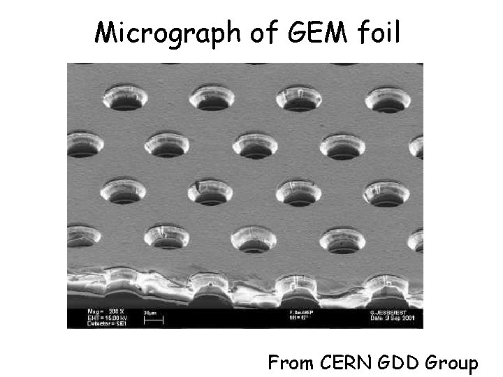 Micrograph of GEM foil From CERN GDD Group 