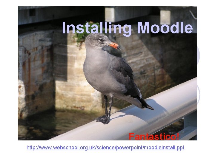 Installing Moodle Fantastico! http: //www. webschool. org. uk/science/powerpoint/moodleinstall. ppt 