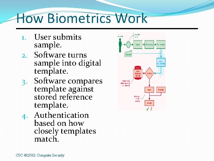 How Biometrics Work 1. User submits sample. 2. Software turns sample into digital template.