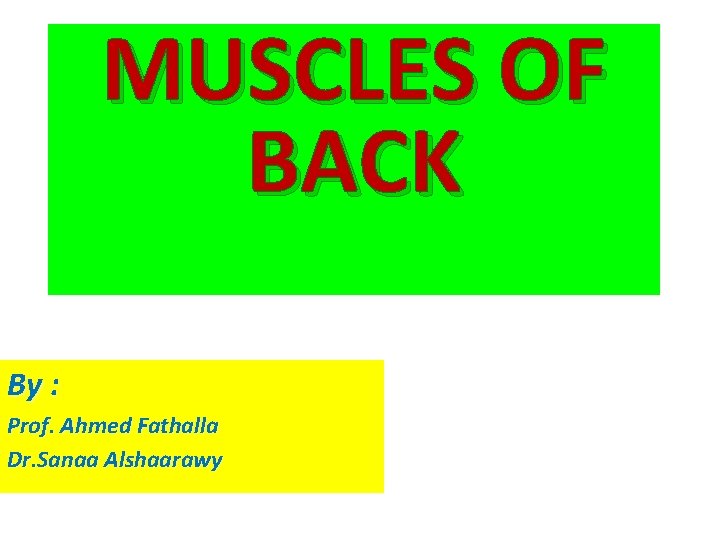 MUSCLES OF BACK By : Prof. Ahmed Fathalla Dr. Sanaa Alshaarawy 