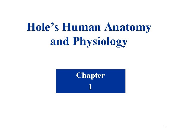 Hole’s Human Anatomy and Physiology Chapter 1 1 
