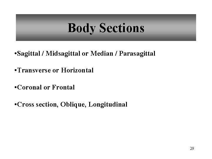 Body Sections • Sagittal / Midsagittal or Median / Parasagittal • Transverse or Horizontal