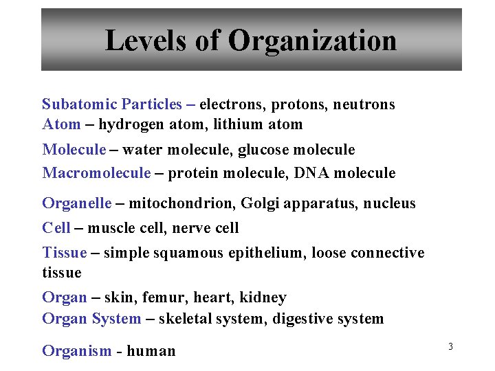 Levels of Organization Subatomic Particles – electrons, protons, neutrons Atom – hydrogen atom, lithium