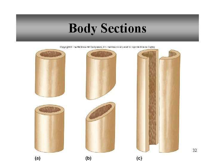 Body Sections 32 