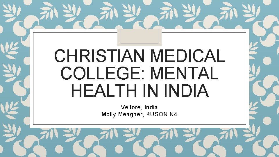 CHRISTIAN MEDICAL COLLEGE: MENTAL HEALTH IN INDIA Vellore, India Molly Meagher, KUSON N 4