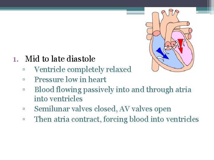 1. Mid to late diastole ▫ ▫ ▫ Ventricle completely relaxed Pressure low in