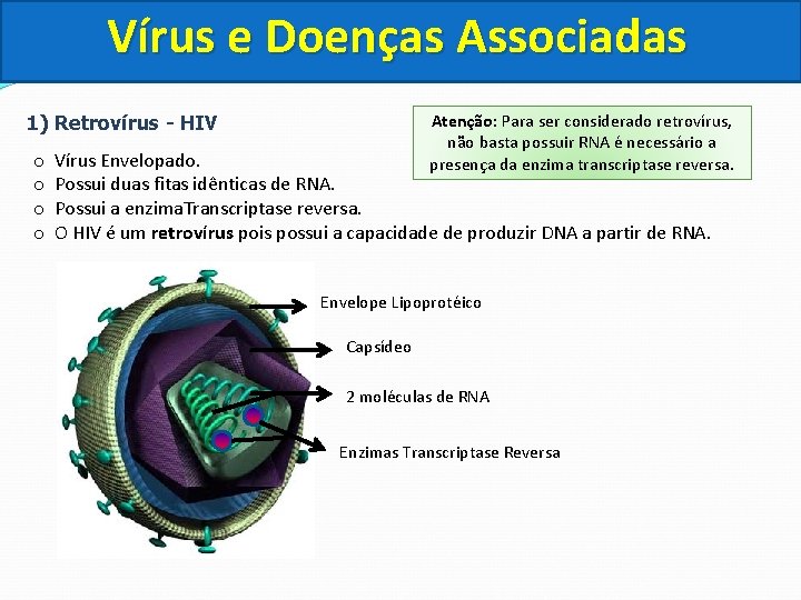 Vírus e Doenças Associadas Atenção: Para ser considerado retrovírus, não basta possuir RNA é