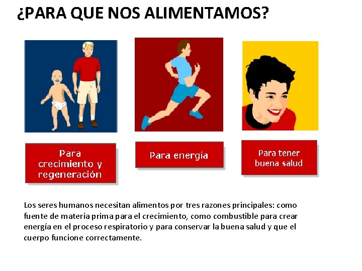 ¿PARA QUE NOS ALIMENTAMOS? Los seres humanos necesitan alimentos por tres razones principales: como ¿PARA QUE NOS ALIMENTAMOS? Los seres humanos necesitan alimentos por tres razones principales: como