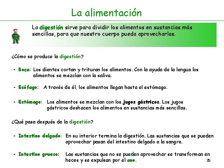 La alimentación La digestión sirve para dividir los alimentos en sustancias más sencillas, para La alimentación La digestión sirve para dividir los alimentos en sustancias más sencillas, para
