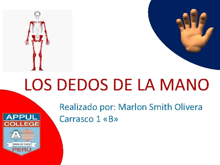 LOS DEDOS DE LA MANO Realizado por: Marlon Smith Olivera Carrasco 1 «B» 