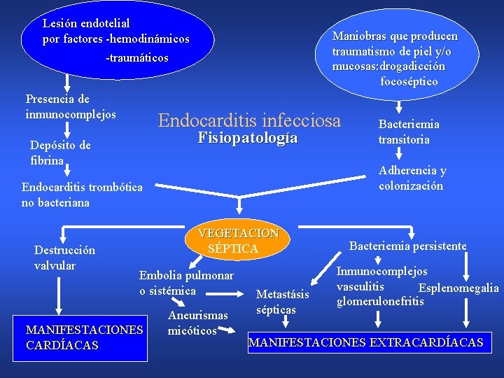 Lesión endotelial por factores -hemodinámicos -traumáticos Presencia de inmunocomplejos Maniobras que producen traumatismo de