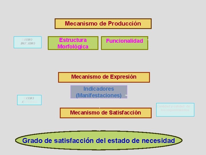 Mecanismo de Producción MEDIO INTERNO Estructura Morfológica Funcionalidad Mecanismo de Expresión MEDIO EXTERNO Indicadores