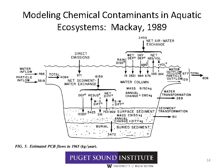 Modeling Chemical Contaminants in Aquatic Ecosystems: Mackay, 1989 14 