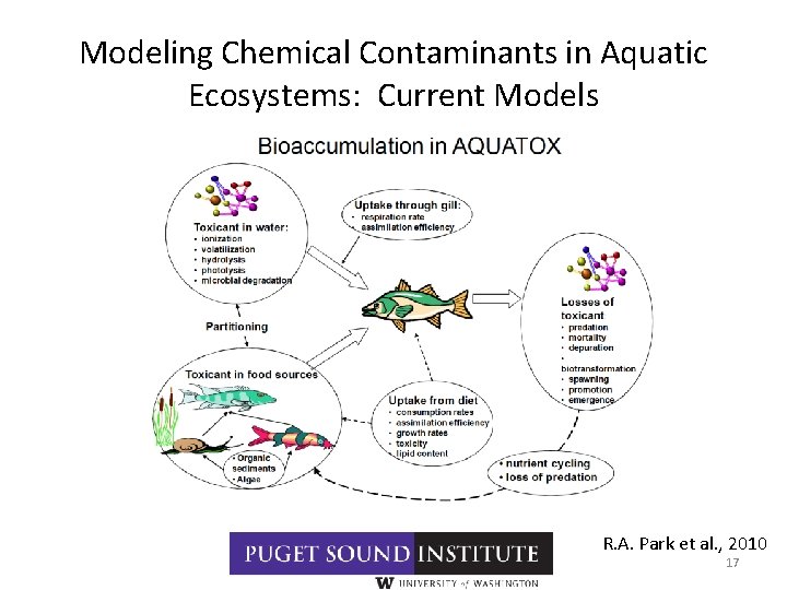 Modeling Chemical Contaminants in Aquatic Ecosystems: Current Models R. A. Park et al. ,
