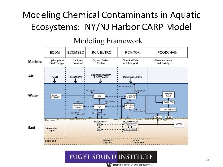 Modeling Chemical Contaminants in Aquatic Ecosystems: NY/NJ Harbor CARP Model 19 