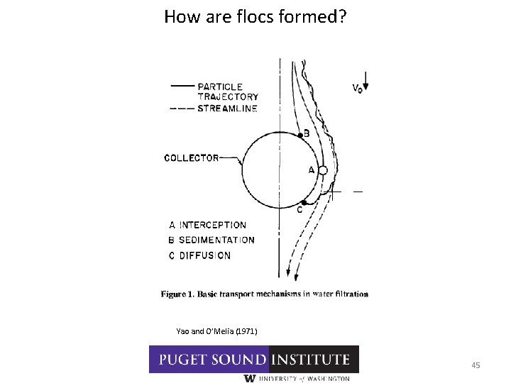 How are flocs formed? Yao and O’Melia (1971) 45 