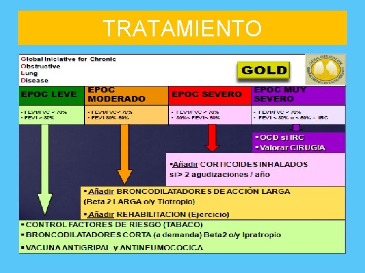 TRATAMIENTO 
