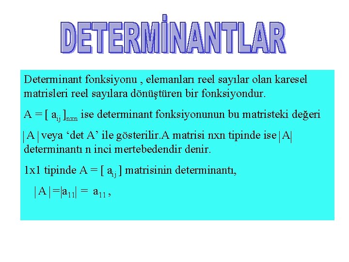 Determinant fonksiyonu , elemanları reel sayılar olan karesel matrisleri reel sayılara dönüştüren bir fonksiyondur.