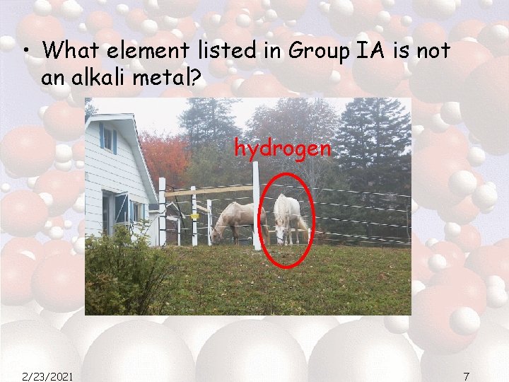  • What element listed in Group IA is not an alkali metal? hydrogen