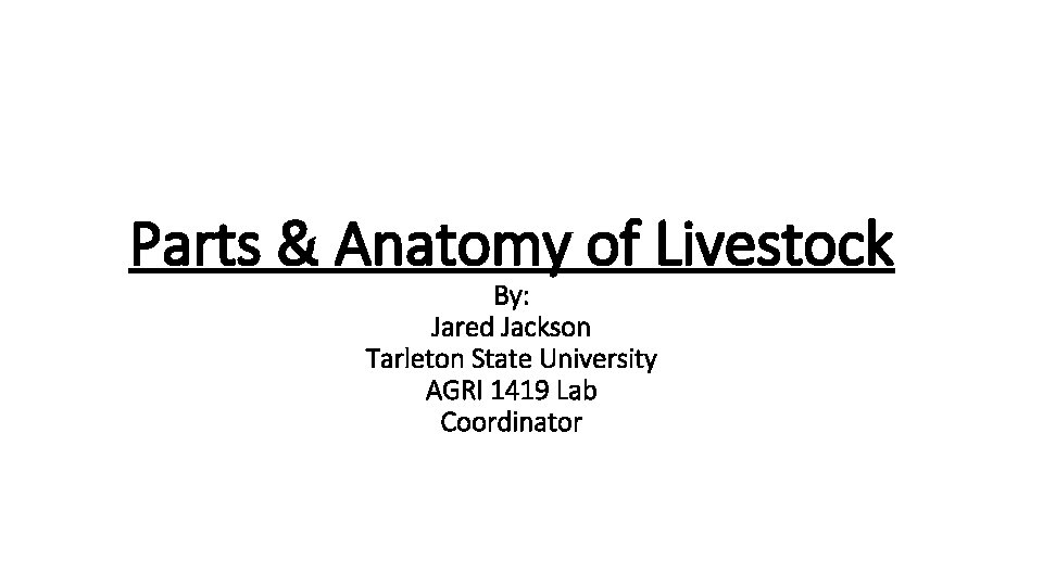 Parts & Anatomy of Livestock By: Jared Jackson Tarleton State University AGRI 1419 Lab