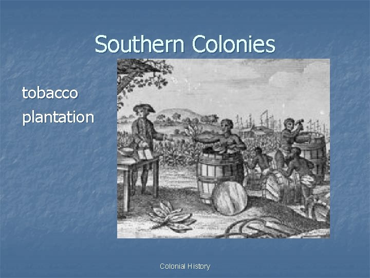 Southern Colonies tobacco plantation Colonial History 