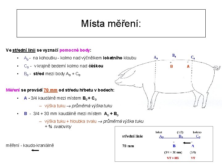 Místa měření: Ve střední linii se vyznačí pomocné body: • A 0 - na