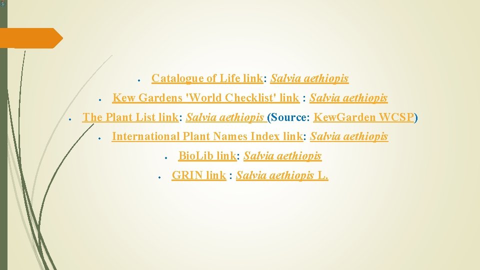  Catalogue of Life link: Salvia aethiopis Kew Gardens 'World Checklist' link : Salvia