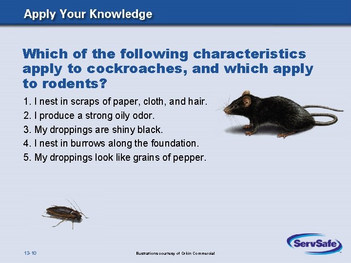Which of the following characteristics apply to cockroaches, and which apply to rodents? 1. Which of the following characteristics apply to cockroaches, and which apply to rodents? 1.