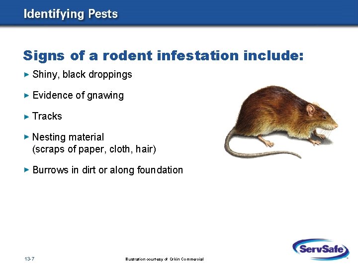Signs of a rodent infestation include: Shiny, black droppings Evidence of gnawing Tracks Nesting Signs of a rodent infestation include: Shiny, black droppings Evidence of gnawing Tracks Nesting