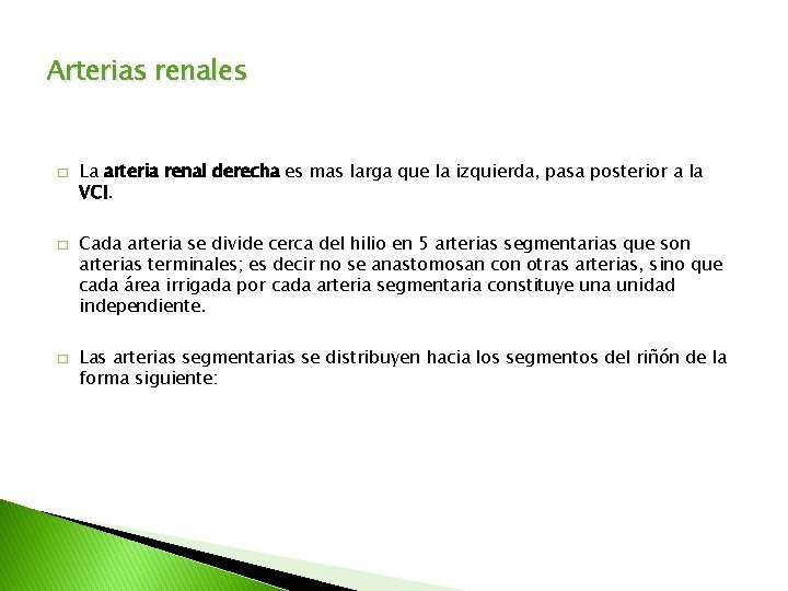 Arterias renales � � � La arteria renal derecha es mas larga que la