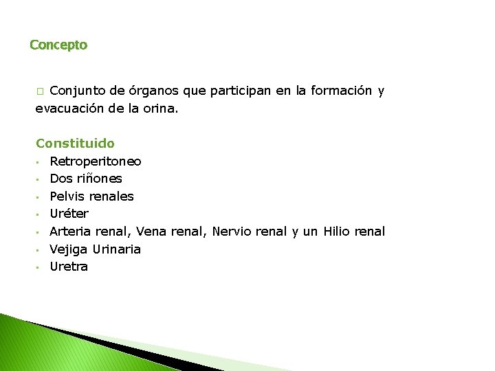 Concepto Conjunto de órganos que participan en la formación y evacuación de la orina.
