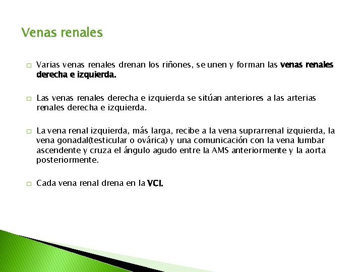 Venas renales � � Varias venas renales drenan los riñones, se unen y forman