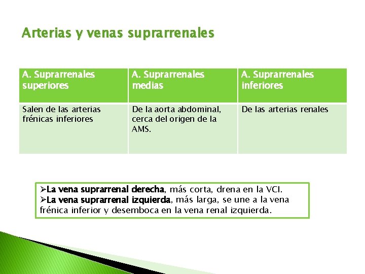 Arterias y venas suprarrenales A. Suprarrenales superiores A. Suprarrenales medias A. Suprarrenales inferiores Salen