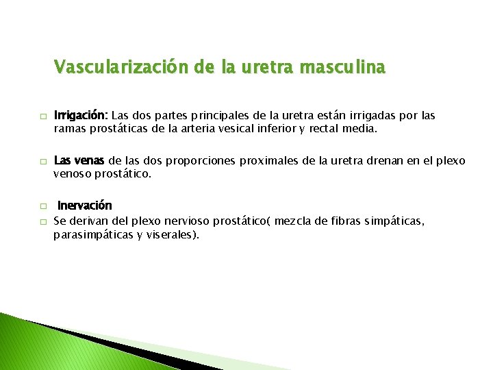 Vascularización de la uretra masculina � � Irrigación: Las dos partes principales de la