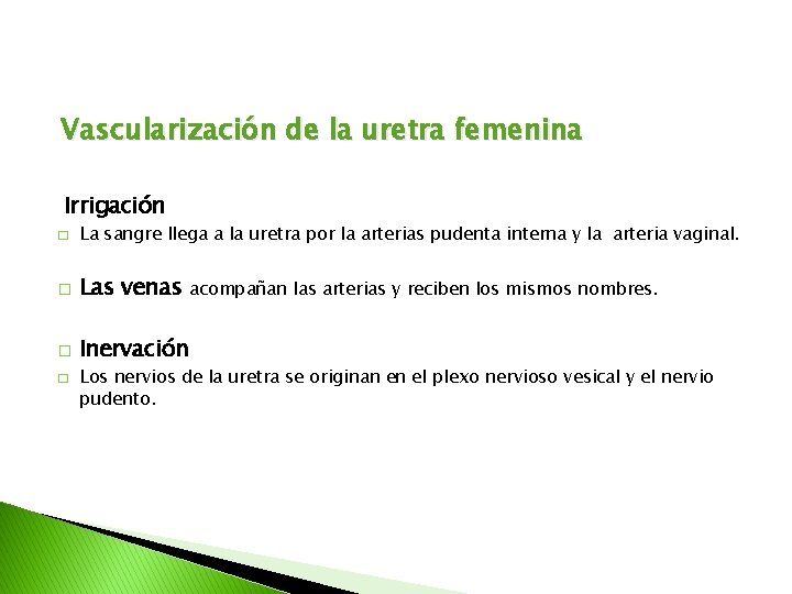 Vascularización de la uretra femenina Irrigación � La sangre llega a la uretra por