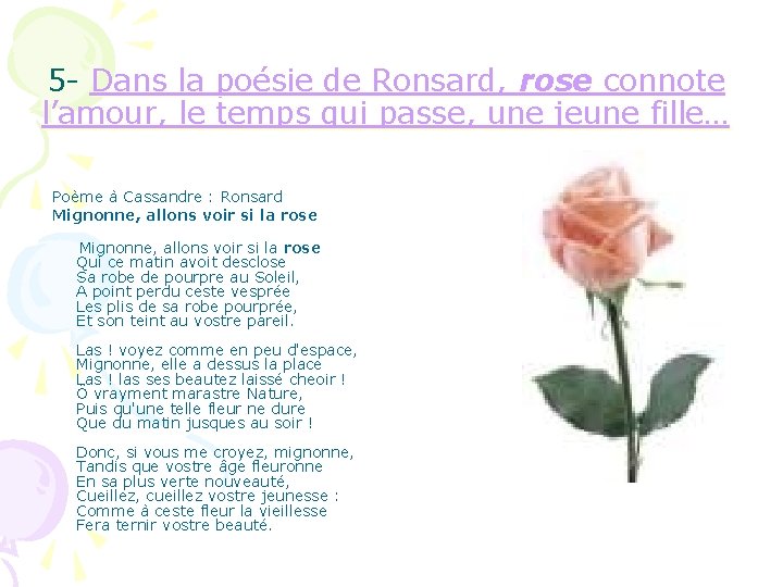 5 - Dans la poésie de Ronsard, rose connote l’amour, le temps qui passe,