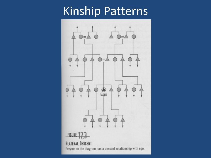 Kinship Patterns 