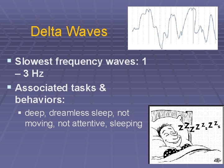 Delta Waves § Slowest frequency waves: 1 – 3 Hz § Associated tasks &