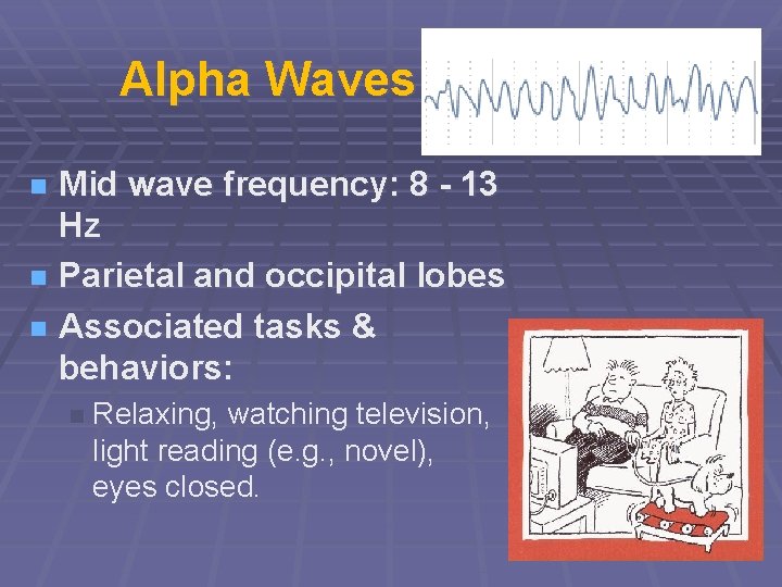 Alpha Waves Mid wave frequency: 8 - 13 Hz n Parietal and occipital lobes