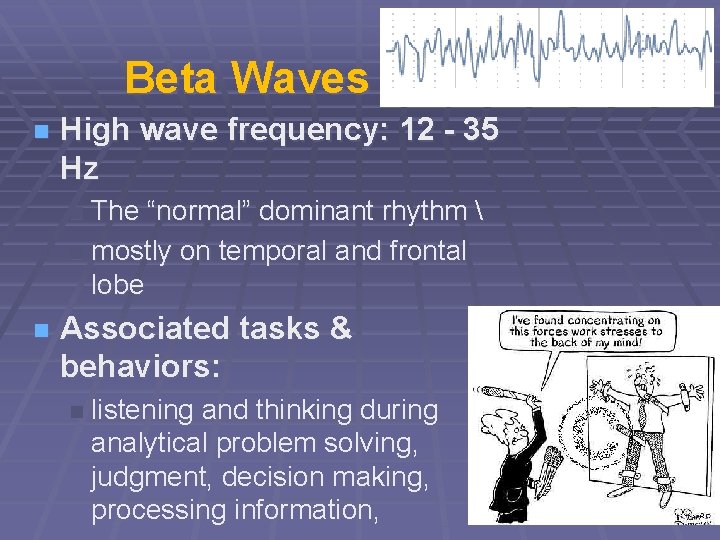 Beta Waves n High wave frequency: 12 - 35 Hz The “normal” dominant rhythm