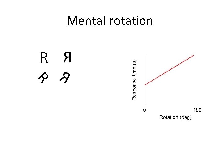 Mental rotation R R 