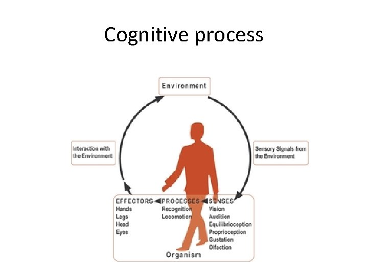 Cognitive process 